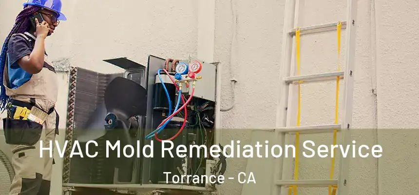  HVAC Mold Remediation Service Torrance - CA
