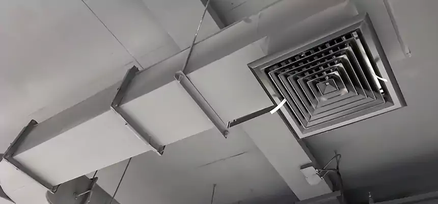 Restorative Allergy Relief Vent Cleaning – Coil, Blower & Housing Detail in Torrance