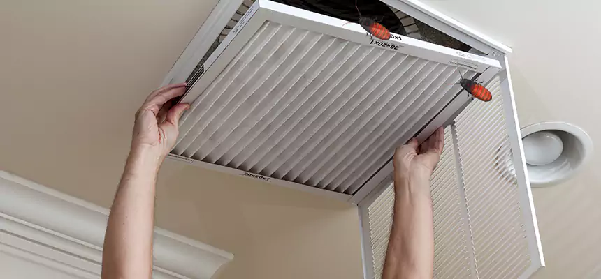 Our Insect Removal from Air Ducts Services in Torrance, CA
