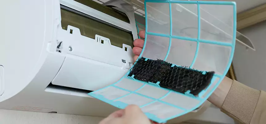 Gentle Ductwork Odor-Control Pet Dander Duct Cleaning in Torrance, CA