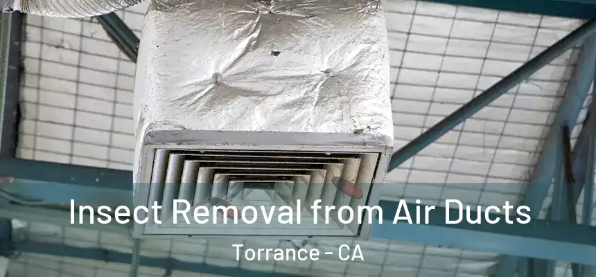 Insect Removal from Air Ducts Torrance - CA