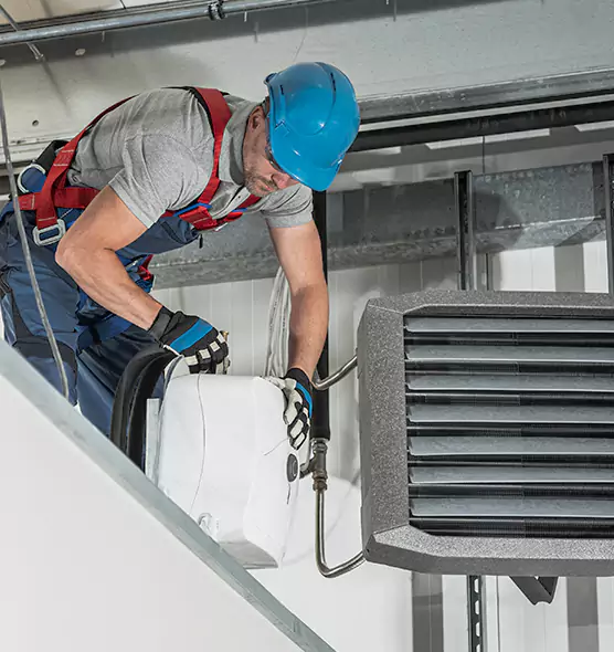 About HVAC Mold Remediation Service in Torrance, CA
