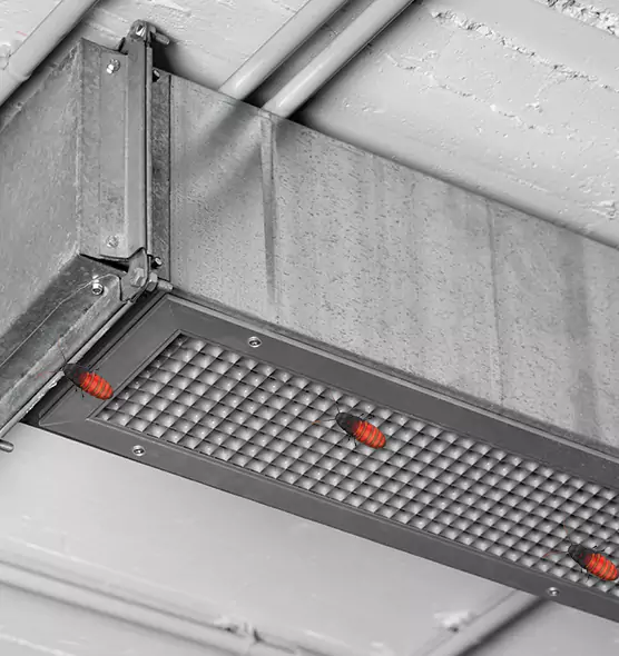 Affordable Insect Removal from Air Ducts in Torrance, CA