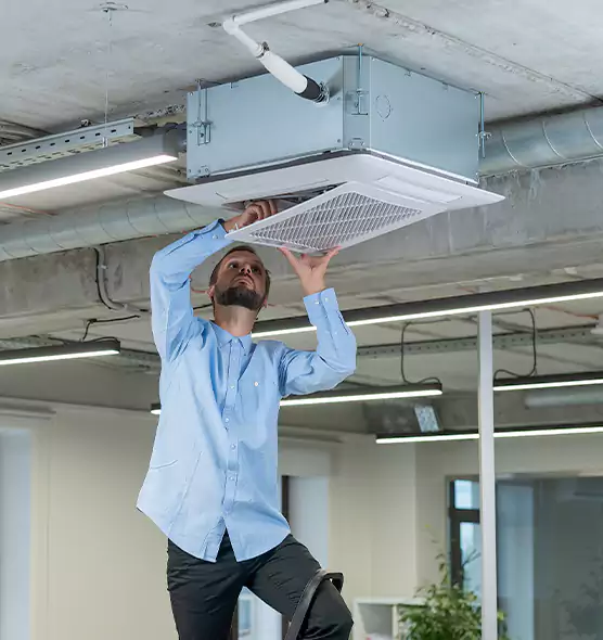 Advanced Rodent Droppings In Vents in Torrance, CA