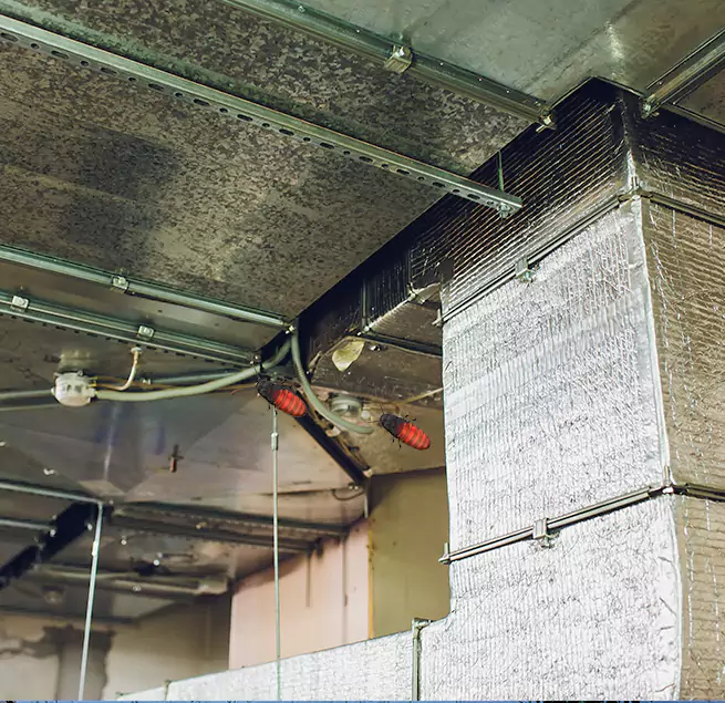 Why Homeowners & Businesses Trust Us in Torrance, CA?