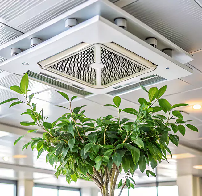 Why Homeowners & Businesses Trust Us in Torrance, CA?