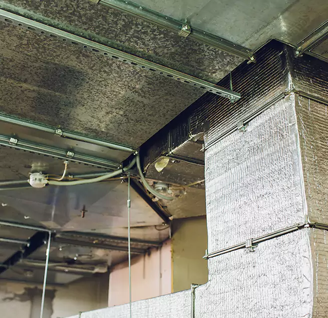 Why Homeowners & Businesses Trust Us in Torrance, CA?