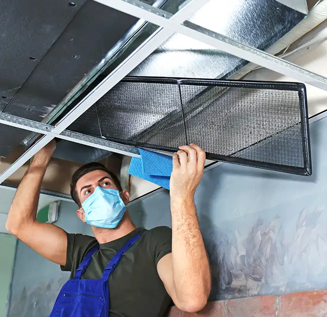 Why Homeowners & Businesses Trust Us in Torrance, CA?